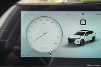 2025款瑞虎8 PRO 290T 两驱豪华+