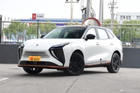 2023款风行雷霆 430 Elite