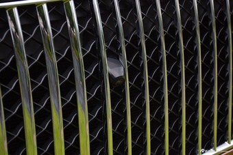 2023款添越 4.0T V8 长轴距雅度版