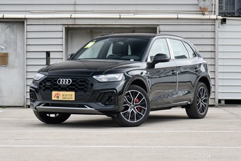 2026款奥迪Q5L 45周年典藏版 45 TFSI 豪华动感型图片