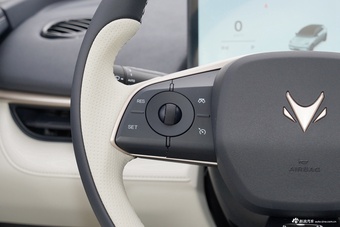 2025款极狐T1 320 PLUS