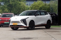 2023款风行雷霆 430 Pro