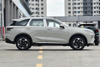 2025款枭龙MAX Hi4 110 Plus 智驾版