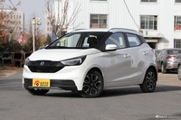 2021款易至EV3 小雷达酷跑型