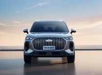 2026款瑞虎9 高配版 官图