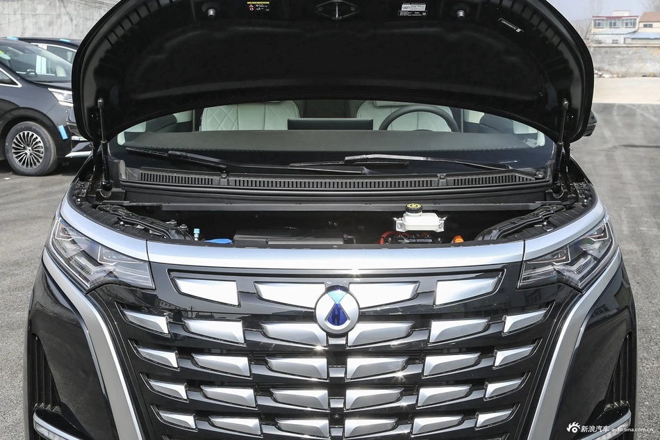 2024款腾势D9 DM-i 1050尊享型