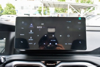 2025款雷达金刚 430km 两驱长厢 招财金刚