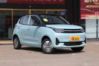 2021款雷丁芒果 乐芒悦动版