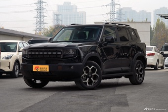 2025款山海T1 147km 四驱发现