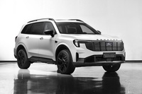 2024款领裕PHEV 基本型