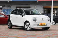 2022款欧拉黑猫301km 基础型