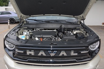 2026款哈弗大狗PLUS 2.0T 四驱潮野版图片