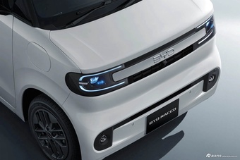 2026款比亚迪RACCO基本型官图