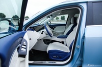 2021款岚图FREE 四驱纯电版专属豪华套装