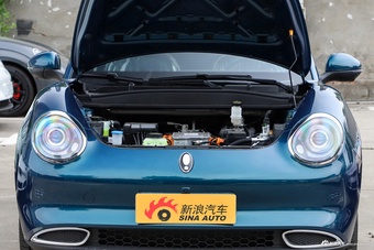 2024款欧拉好猫 401km 舒享型图片