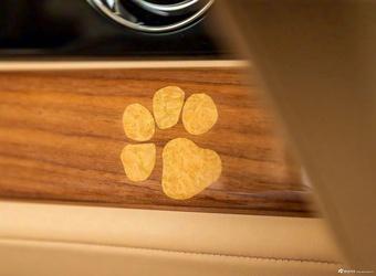 2025款闪灵 贝利