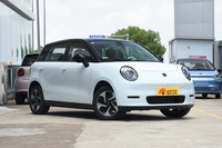 2023款江淮钇为3 405km Pro