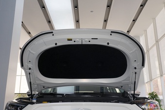 2025款风云T9 120 长续航版旗舰型 5座 磷酸铁锂