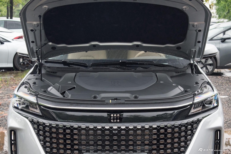 2024款蓝电E5 荣耀版 1.5L DE-i 100km尊享型 7座