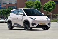 2025款海鸥 智驾版 405km 自在版