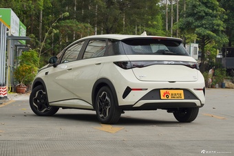 2025款海豚 420km 自由版