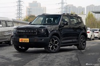 2025款山海T1 147km 四驱探索