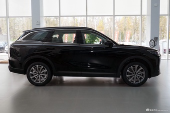 2025款风云T9 120 长续航版尊荣型 7座 磷酸铁锂