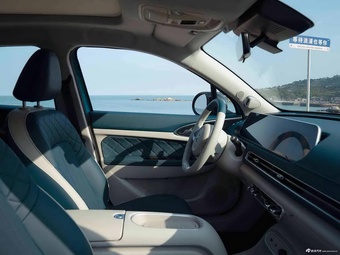 2024款欧拉好猫 401km 周年纪念版