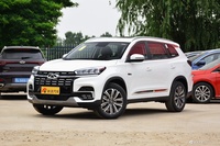 2020款瑞虎8 1.6T自动尊贵型290TGDI 
