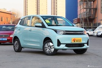 2022款雷丁芒果 200中餐厅版