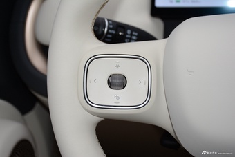 2026款欧拉5 标准款 粉