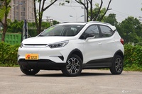 2021款比亚迪元Pro 401KM尊贵型 