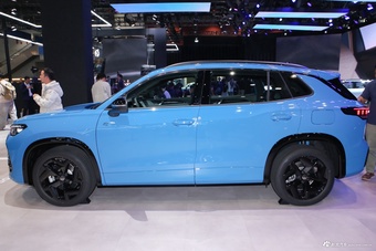 2025广州车展实拍：探岳L PHEV