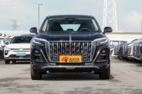 2024款红旗HS3 2.0T 可为版