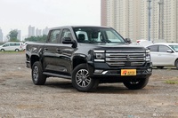 2023款大道 追光者 2.3T汽油自动四驱标轴尊享款