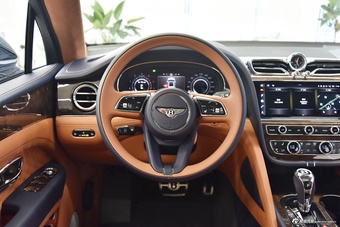 2024款添越 4.0T V8 雅度版