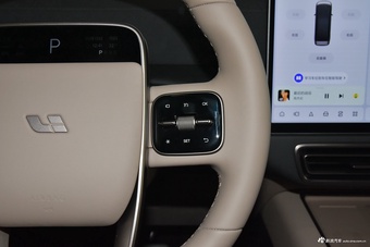 2025款理想MEGA Home 家庭特别版