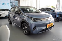 2025款海豚 智驾版 410km 时尚版