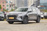 2025款瑞虎8 PRO 290T 两驱豪华+