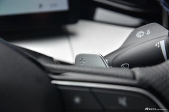 2025款星瑞 东方曜 2.0TD 揽星版