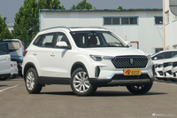  2019款奔腾T33 1.6L手动豪华型国VI