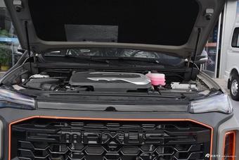 2021款上汽MAXUS T90 2.0T汽油自动四驱高底盘豪华型标箱图片