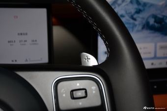 2026款长城炮 2.4T乘用炮自动柴油四驱尊享型