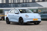 2024款欧拉好猫 401km 尊荣型