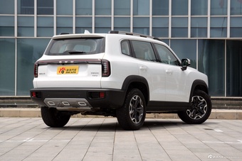 2026款哈弗大狗 2.0T DCT中华田园犬版