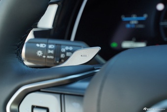 2025款雷克萨斯RX 350h 两驱舒享版