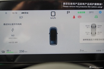 2025款海豚 智驾版 410km 时尚版