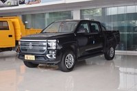 2024款大道 全能者 2.3T 柴油自动两驱舒享款平底货箱