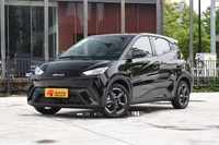 2024款海鸥荣耀版405KM 飞翔版