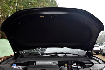 2025款瑞虎9 2.0T 自动两驱尊享版 5座